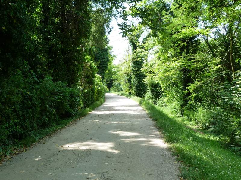 Strada bianca isola di Villapendola