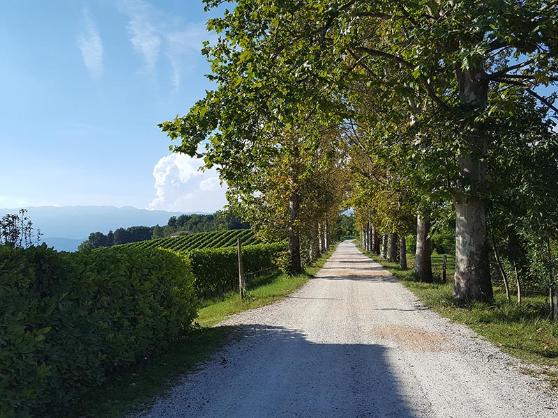 Da Collalto a Susegana