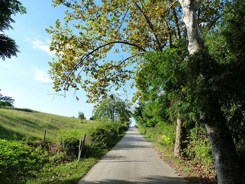 Via Strada di Collalto