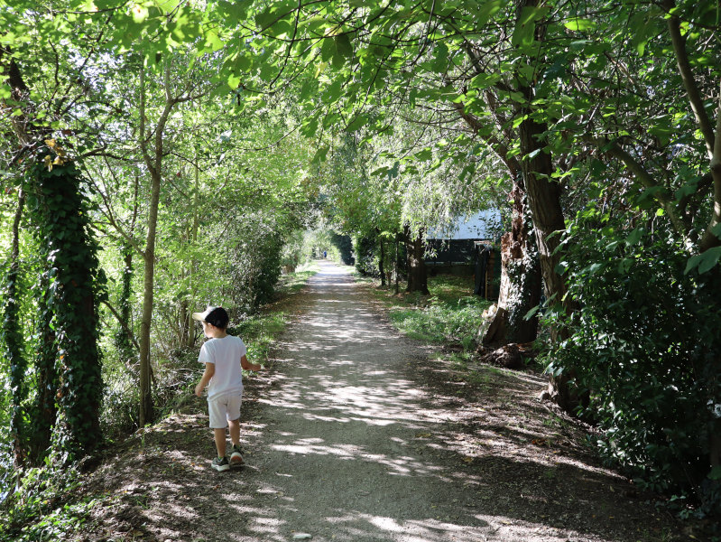 Ciclabile del  Sile