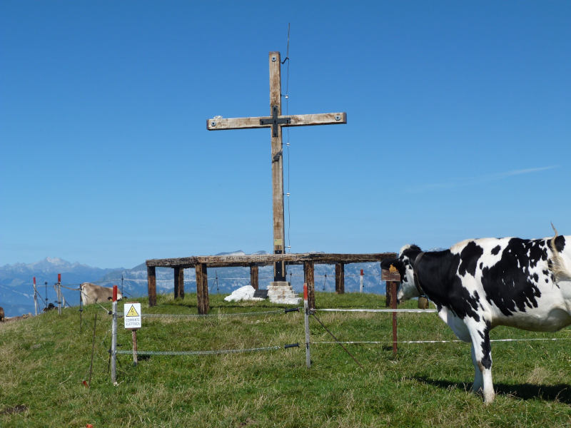 Vetta del Monte Cesen