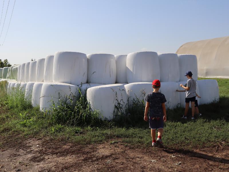Balle di fieno Marshmallow