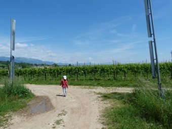 Al bivio a sinistra verso il paese