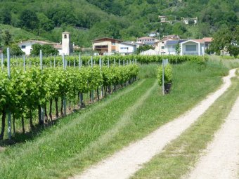 Vista sulla Chiesa di Sant'Antonio