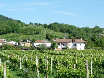 Tra i colli spunta la Rocca di Cornuda