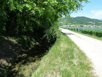 Rumore dell'acqua in Via Palladio