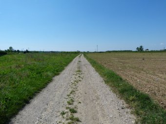 Strada di campagna a Maser