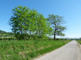 Via San Valentino a Maser