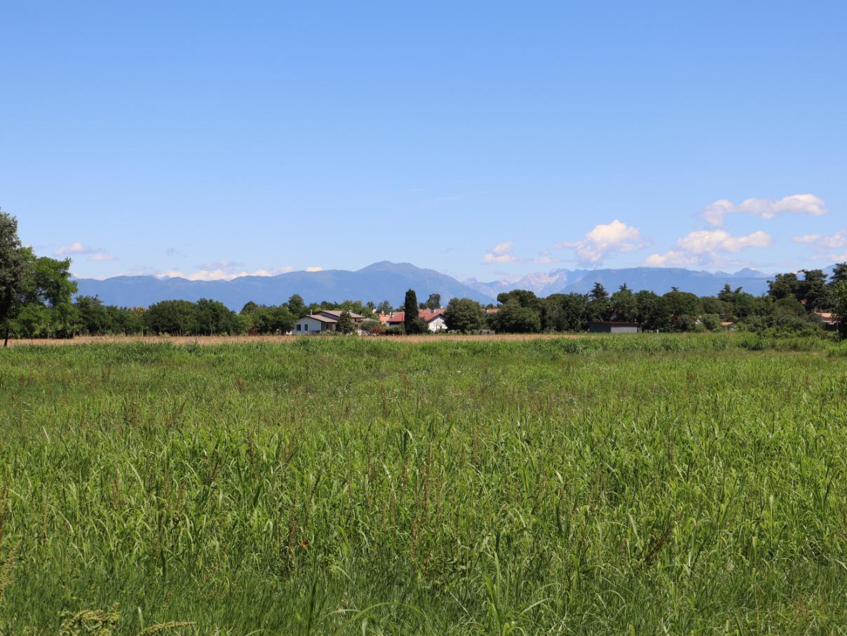 Panorami