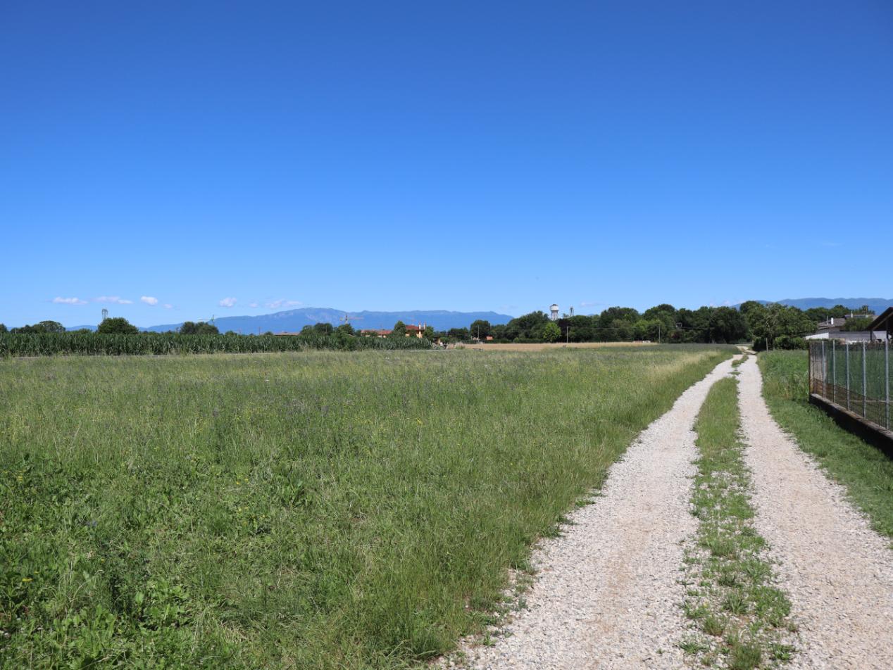 Via di campagna