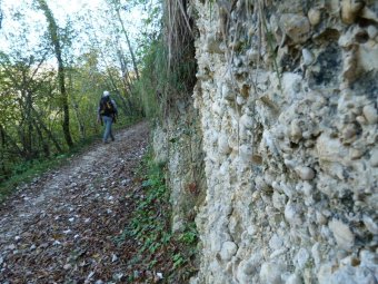 Tra le foglie autunnali