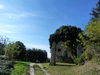 Ruderi e Colonne