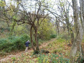 Saliamo verso la cresta