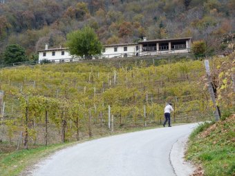 Saliamo lungo Via Drio Cisa