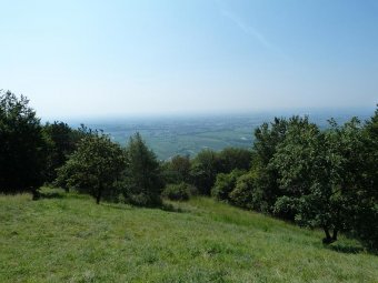 Panorama dalla vetta del Monte Sulder