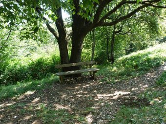 Pausa taralli sotto la quercia