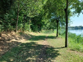 Sentiero in riva al lago