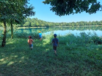 Rumore tra il canneto