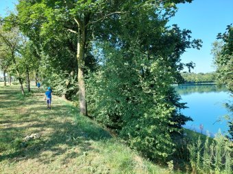 Sentiero sopra il lago