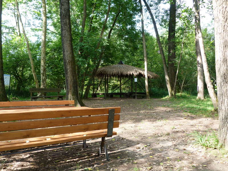 Area Bosco Golenale