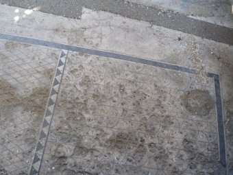 Mosaici del Foro Romano