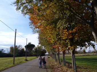 Autunno tra le chiome