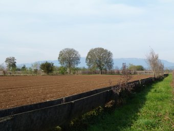 Panorami agresti