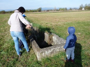 Sifone...attenzione