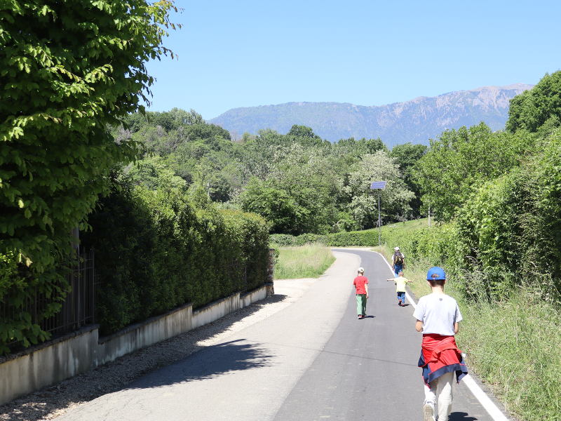 Via Colli