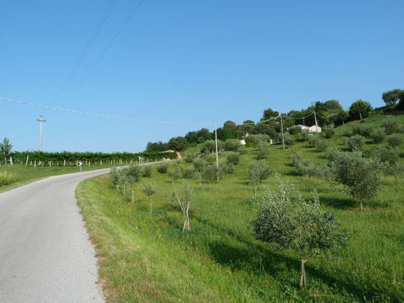 Via San Nicolò