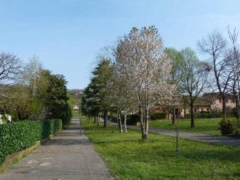 il Viale di inizio della nostra passeggiata