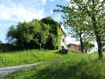 Casa colonica sommersa dall'edera