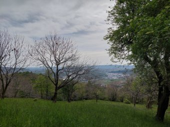 Panorama verso il Piave