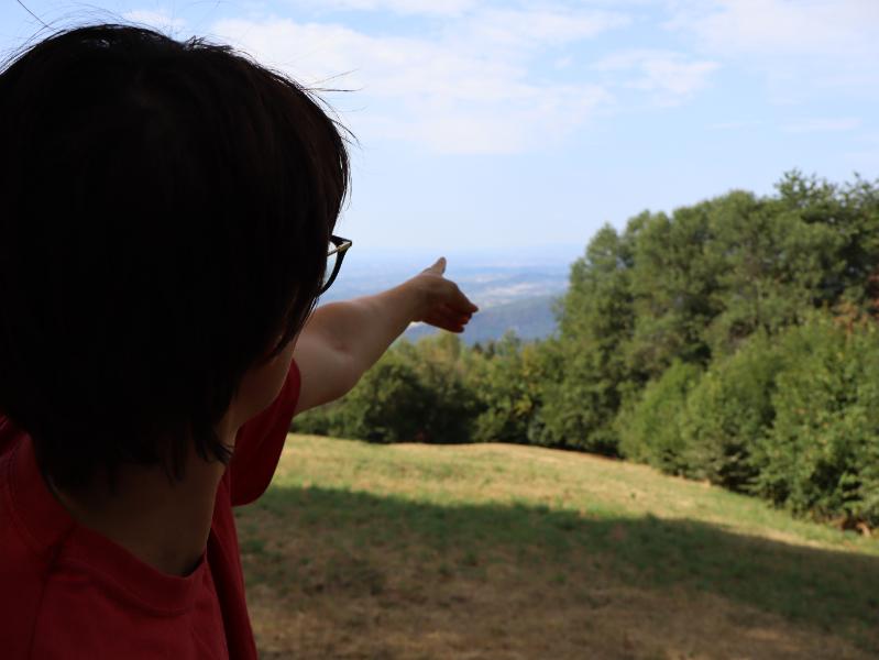Panorami