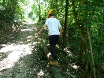 Giochi di equilibrio