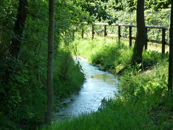Seguiamo il torrente