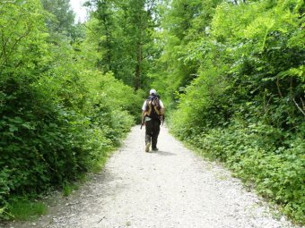 Avanti senza deviare