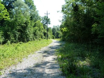 Lungo l'argine del Piave