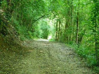 Verso il Ponte Romano
