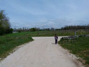 All'incrocio a T a destra