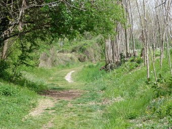 Stradina di campagna
