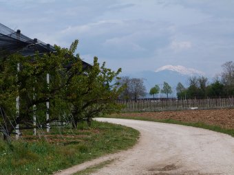 Vista sul Visentin
