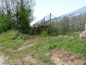 Prendiamo la strada che si innesta sulla destra