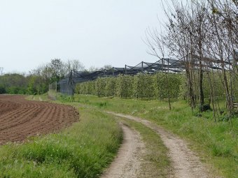 Stradina tra i due cimiteri