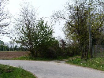 Alla curva prendiamo la strada di campagna