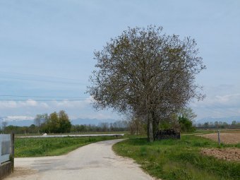 Via Cal di Giavera