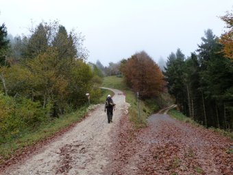 Al bivio a sinistra