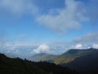 Panorami