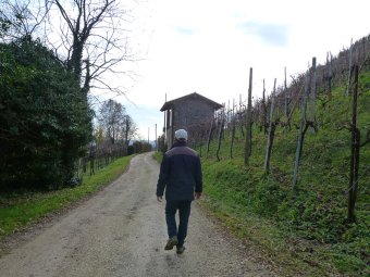 In discesa tra le Rive del Prosecco