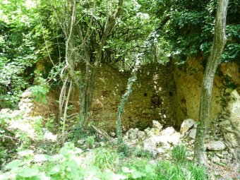 Rudere tra gli alberi